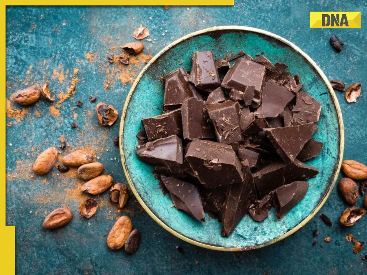 World Chocolate Day 2023: Is dark chocolate good for your heart?