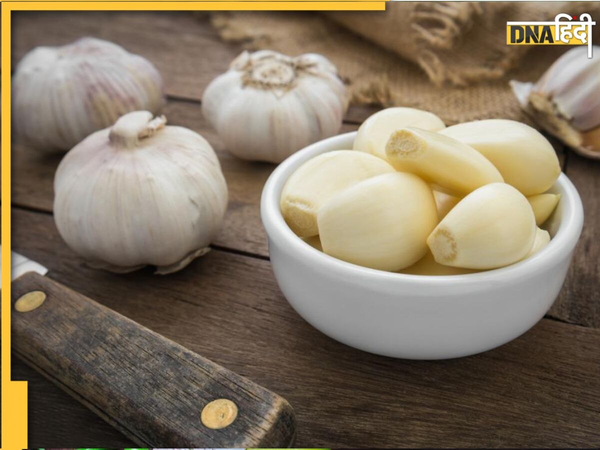 Raw Garlic Benefits: बासी मुंह लहसुन चबाना इन 7 बीमारियो की है दवा, वजन से लेकर कोलेस्ट्रॉल-बीपी तक होगा कम