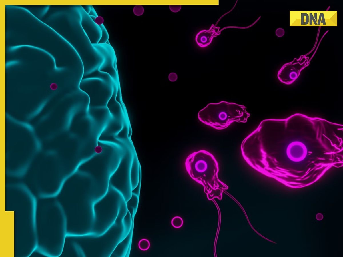 Kerala boy dies due to 'brain eating amoeba'; all you need to know about this rare disease