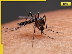Dengue cases on rise in India: 5 effective ways to protect yourself