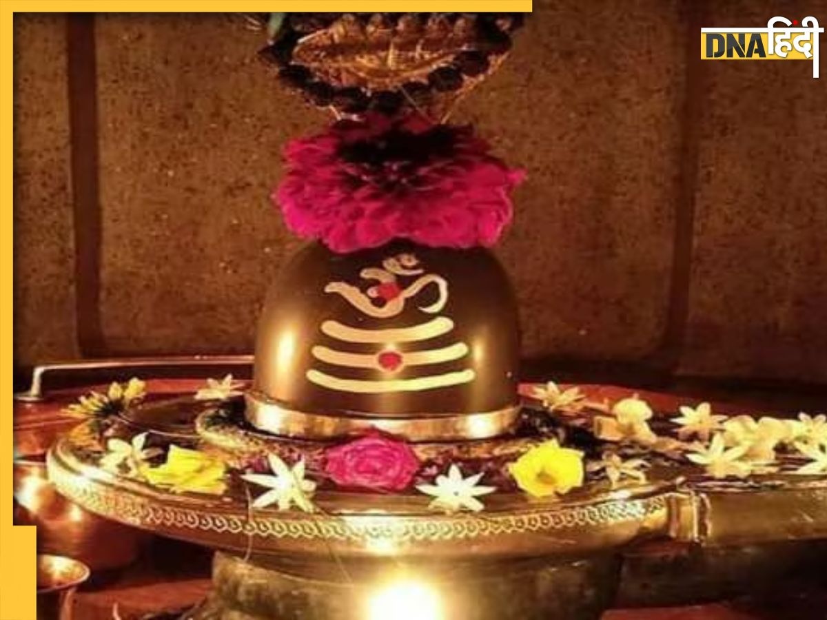 Sawan Shivling Puja: सावन में सिर्फ बेलपत्र ही नहीं, शिवलिंग पर चढ़ा सकते हैं ये 5 पत्ते, कृपा करेंगे महादेव