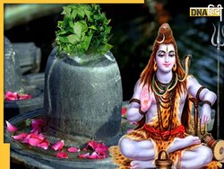 Sawan Shiv Puja: भगवान शिव पर भूलकर �भी अर्पित न करें ये 5 चीजें, रुद्राभिषेक में रखें विशेष ध्यान, क्रोधित हो जाएंगे महादेव