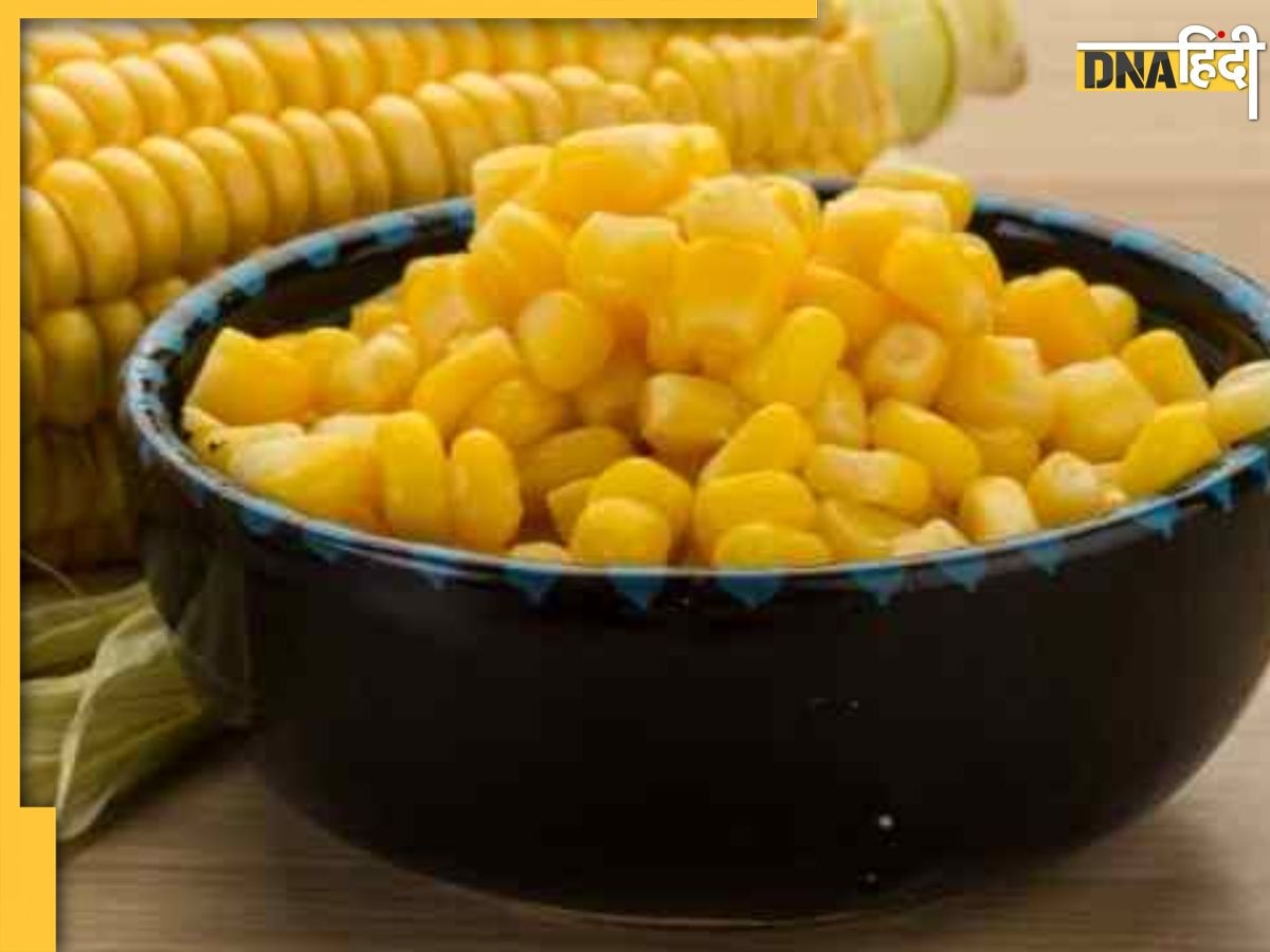 Sweet Corn Side Effects:मॉनसून में स्वीटकॉर्न सेहत के लिए हो स�कते हैं घातक, ज्यादा खाने पर स्किन से लेकर पेट तक का बजा देंगे बैंड