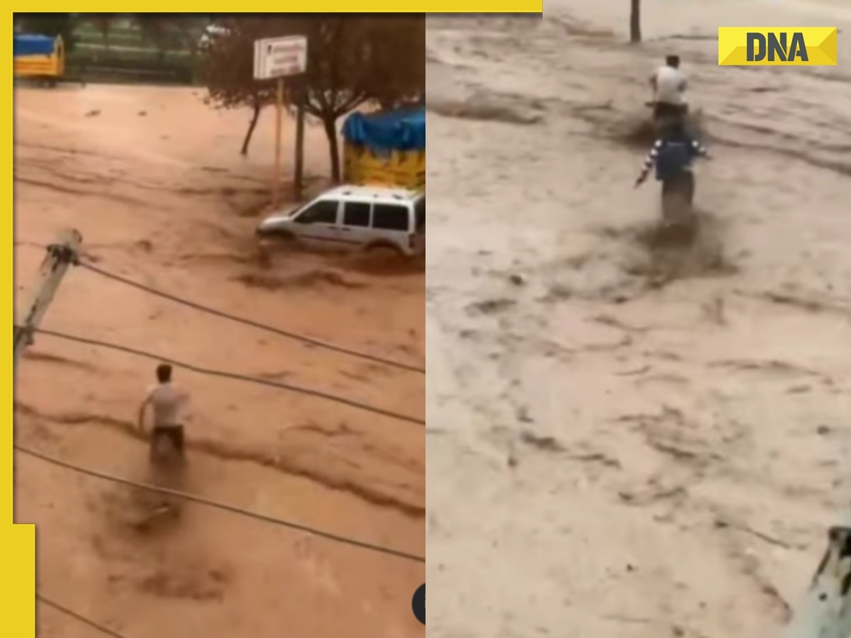  Viral video: Youths go above and beyond to save dogs from deadly floodwaters