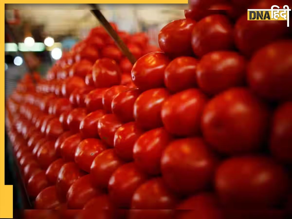 Tomato Price: टमाटर की कीमतों में बड़ी राहत, दिल्ली-NCR में 90 रुपये नहीं अब इस रेट में मिलेगा