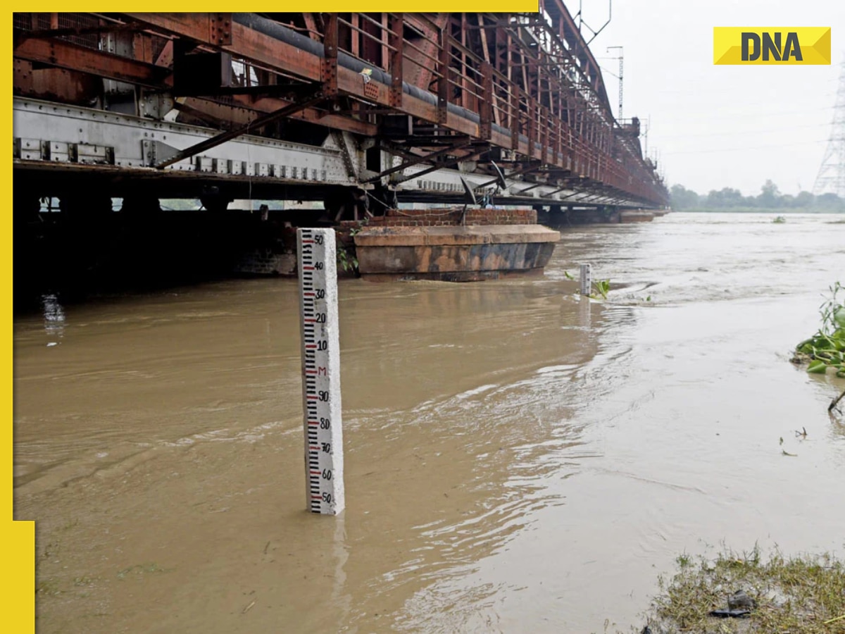 Delhi's flood news: Noida, Greater Noida schools closed; 4 shelters, 8 medical teams at service