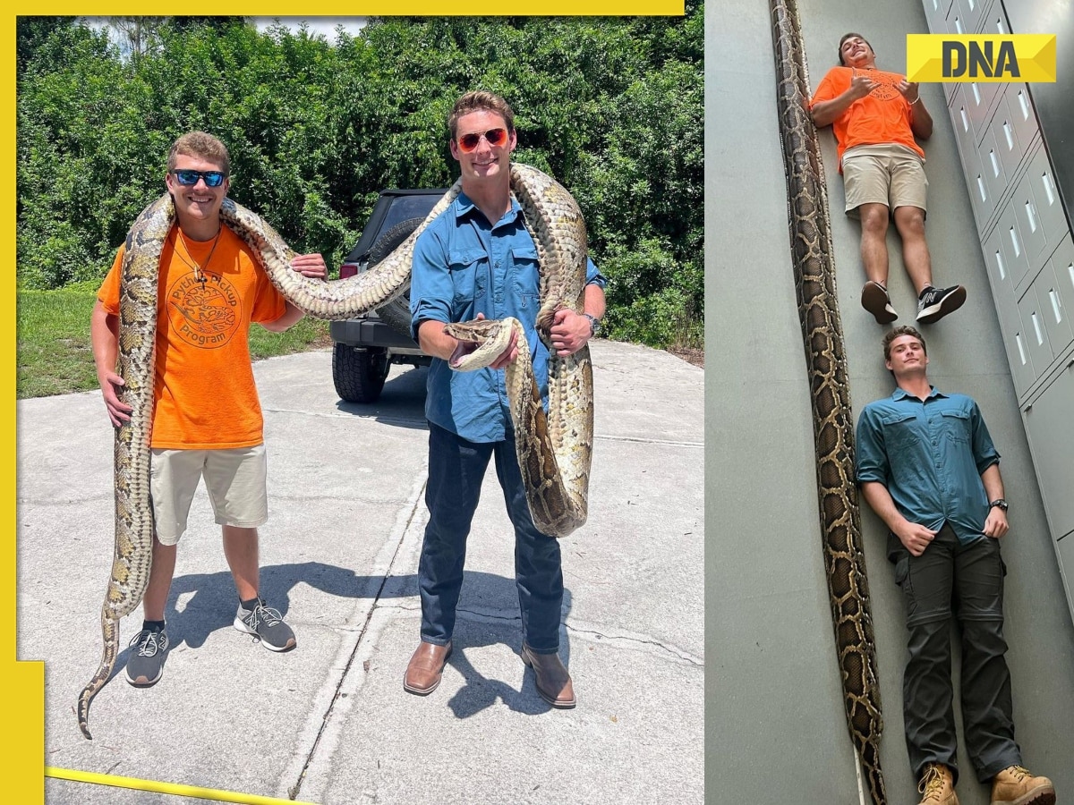 'Record-breaking' 19-foot burmese python caught in Florida by 22-year ...