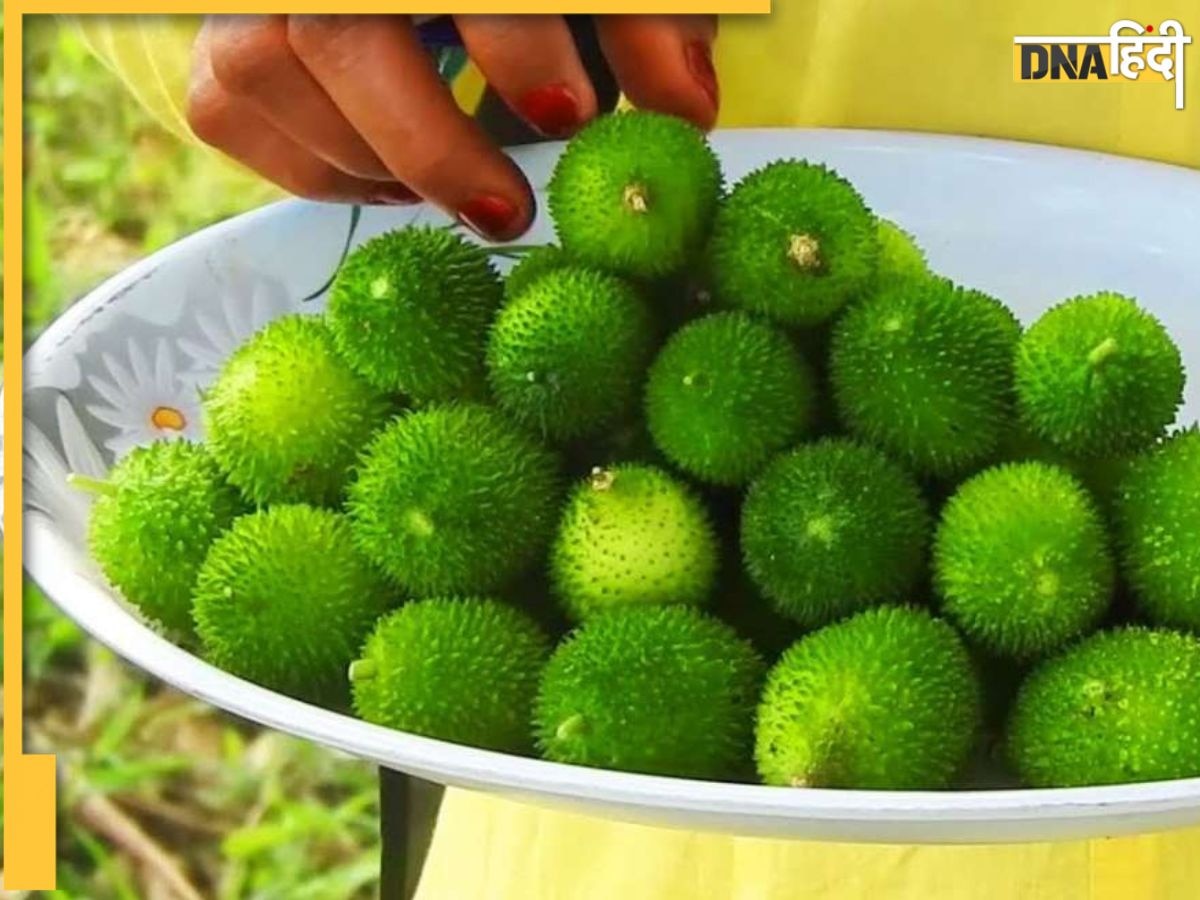 Sweet Karela Benefits: ये हरे रंग की सब्जी प्रोटीन और कैल्शियम का है प��ावरहाउस, शरीर बनेगा देगी फौलादी