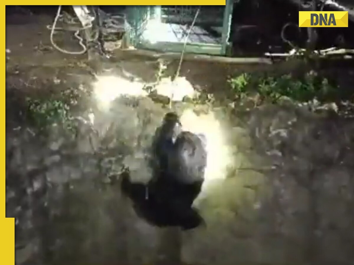 Viral video: Incredible bear rescue from open well in Odisha's Nabrangpur impresses internet