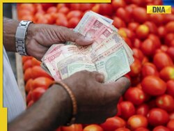 This Pune man earned Rs 1.5 crore selling tomatoes in 30 days
