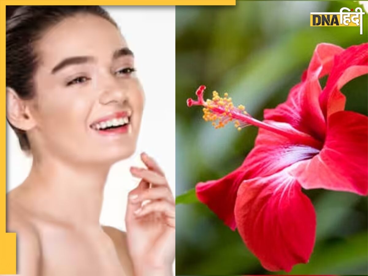 Hibiscus Face Mask: चेहरे पर चाहिए इंस्टेंट ग्लो तो लगाएं इस फूल से बना फेस पैक, एक्ने-पिंपल्स भी होंगे दूर