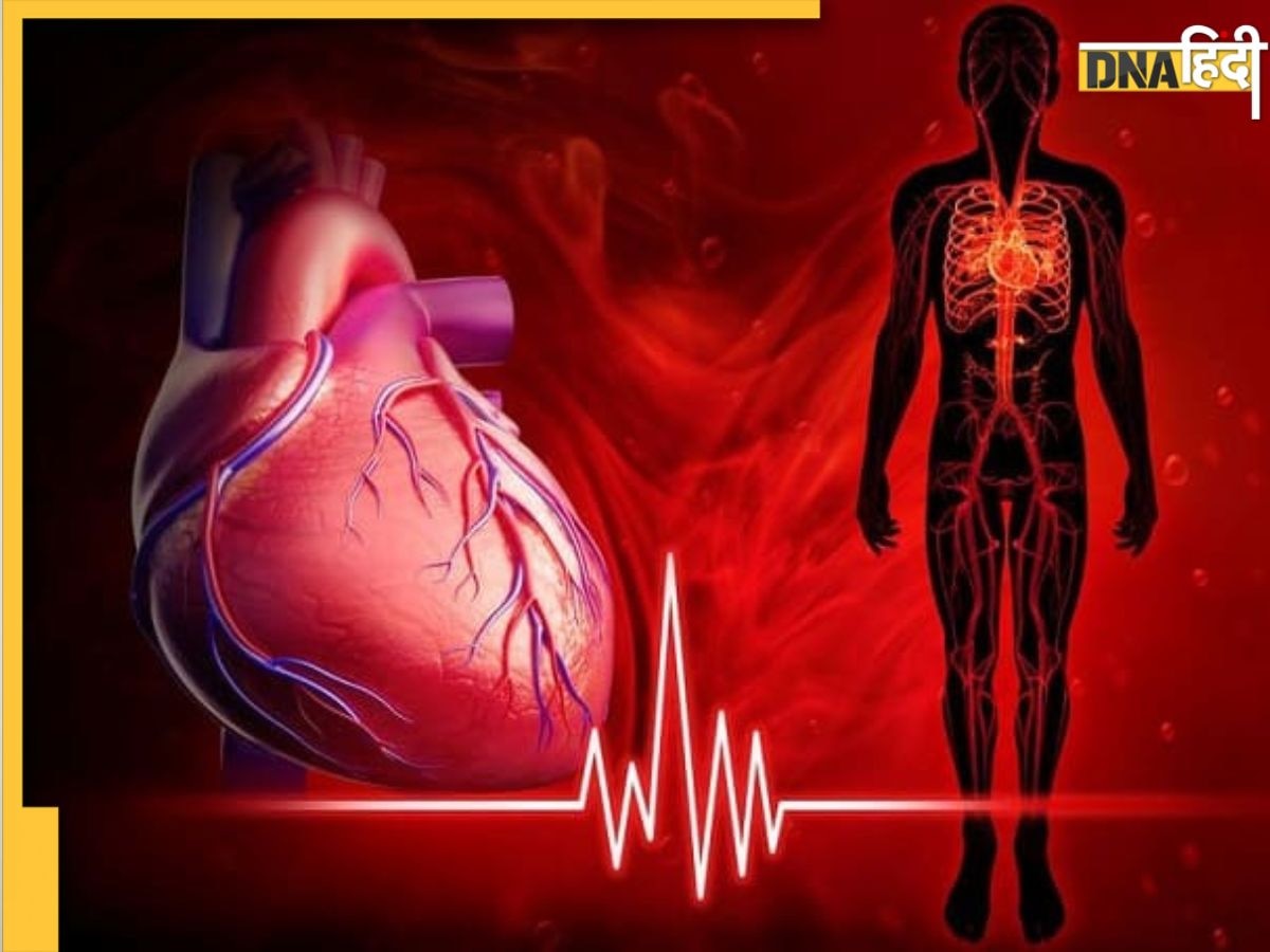 Increase Blood Circulation: शरीर में धीमा पड़ गया है खून का दौरा तो ये 13 चीजें तुरंत बढ़ा देंगी ब्लड सर्कुलेशन