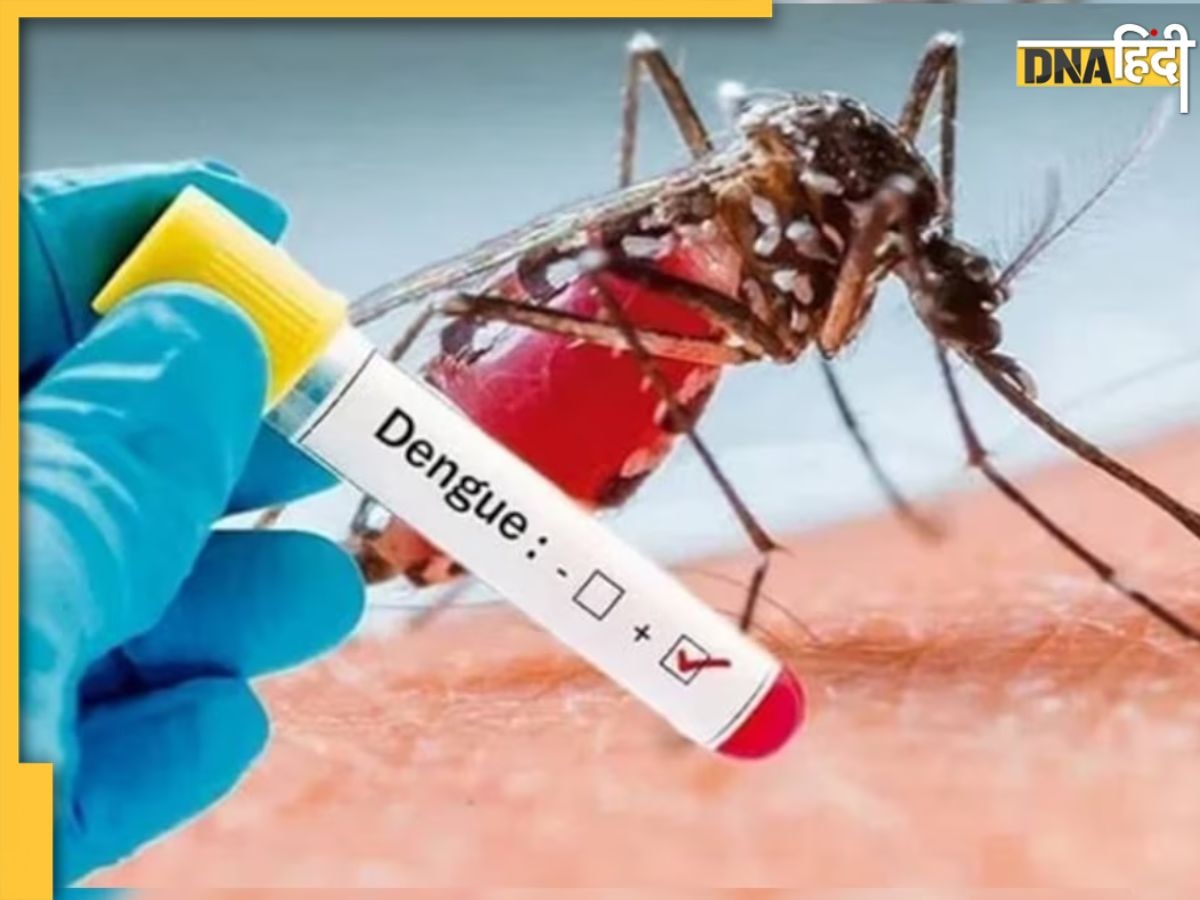 Dengue Symptoms And Treatment: इस स्थिति में डेंगू हो जाता है घातक, शरीर में दिखें ये लक्षण तो तुरंत कराएं जांच 