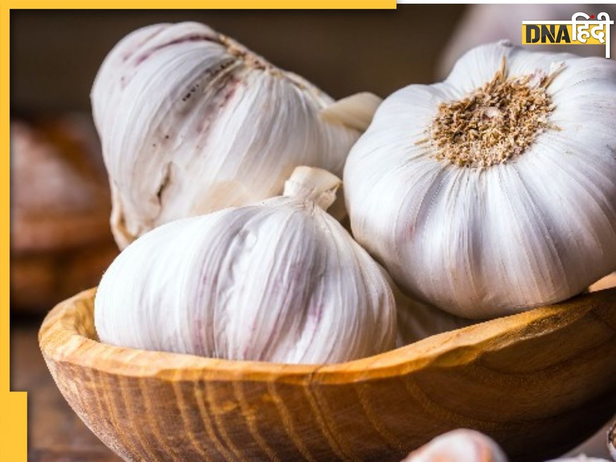 Garlic Benefits: सब्जियों में स्वाद के साथ ही इन 8 समस्याओं को दूर रखता है लहसुन, हार्ट से लेकर पेट तक रहता है सही