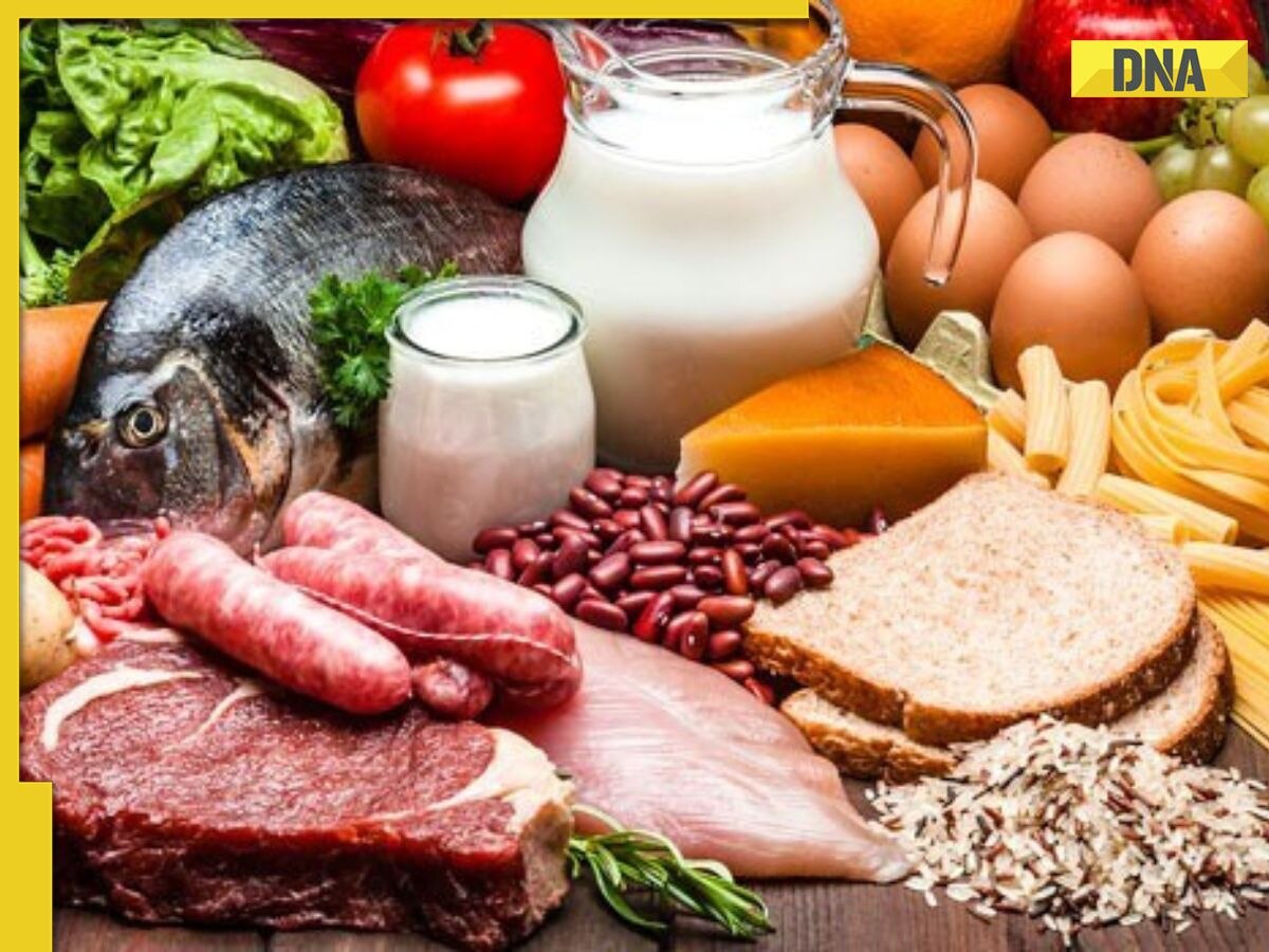 WHO updates guidelines on fats and carbohydrates: ‘Know how much fat, carb you should intake’