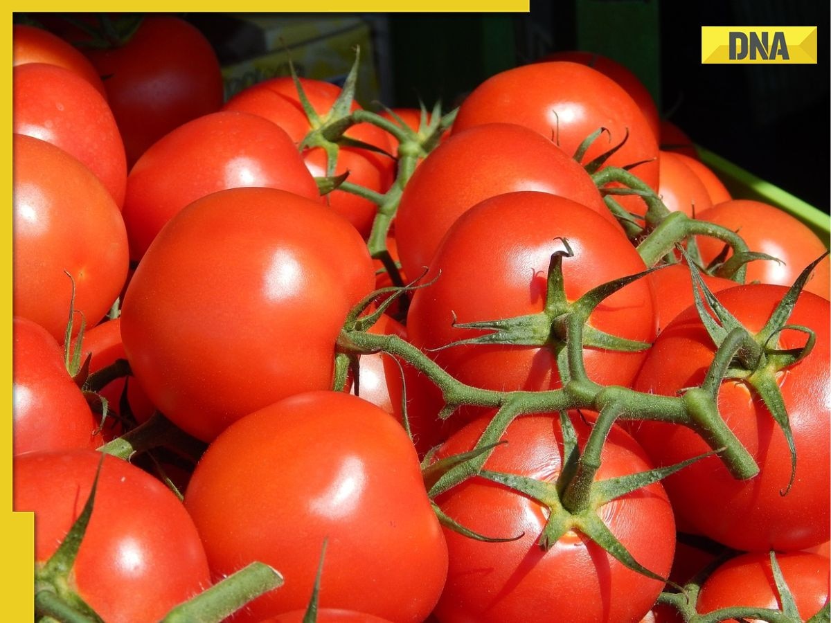 Tomato price hike: Woman tells her UAE-based daughter to bring 10 kg tomatoes to India as gift