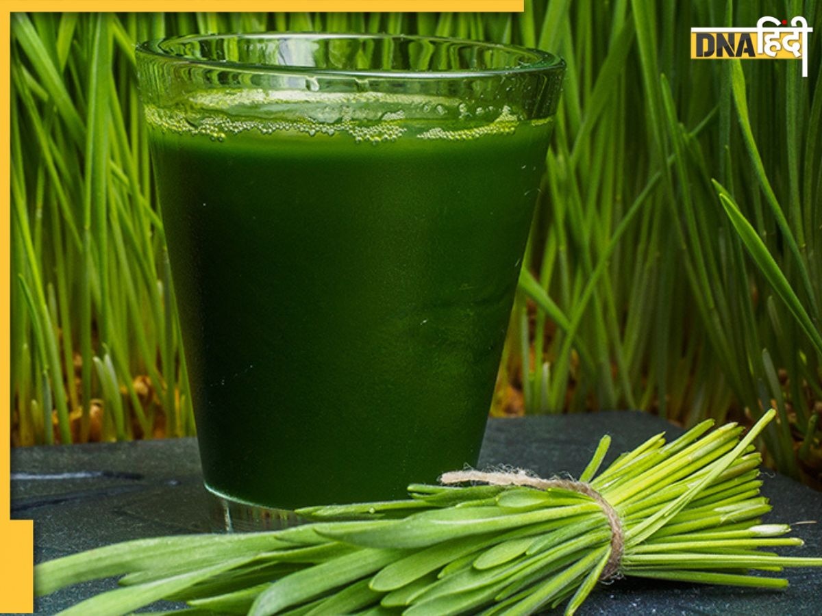 Juice Remedy: खाली पेट ये हरा जूस पीते ही कम होगा यूरिक एसिड, जोड़ों में जमा क्रिस्टल टूट जाएंगे