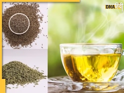 जीरा, मेथी और सौंफ से बनी Herbal Tea पीने से मिलेंगे कई फायदे, यहां देखें रेसिपी