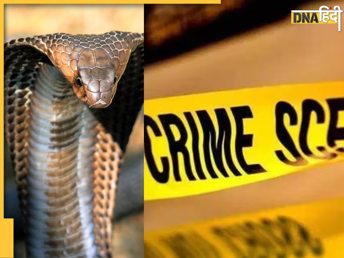 Crime Petrol से की मर्डर प्लानिंग, एक्स बॉयफ्रेंड को प्रेमिका ने King Cobra से दो बार डंसवाया, पढ़ें Shocking Love Story