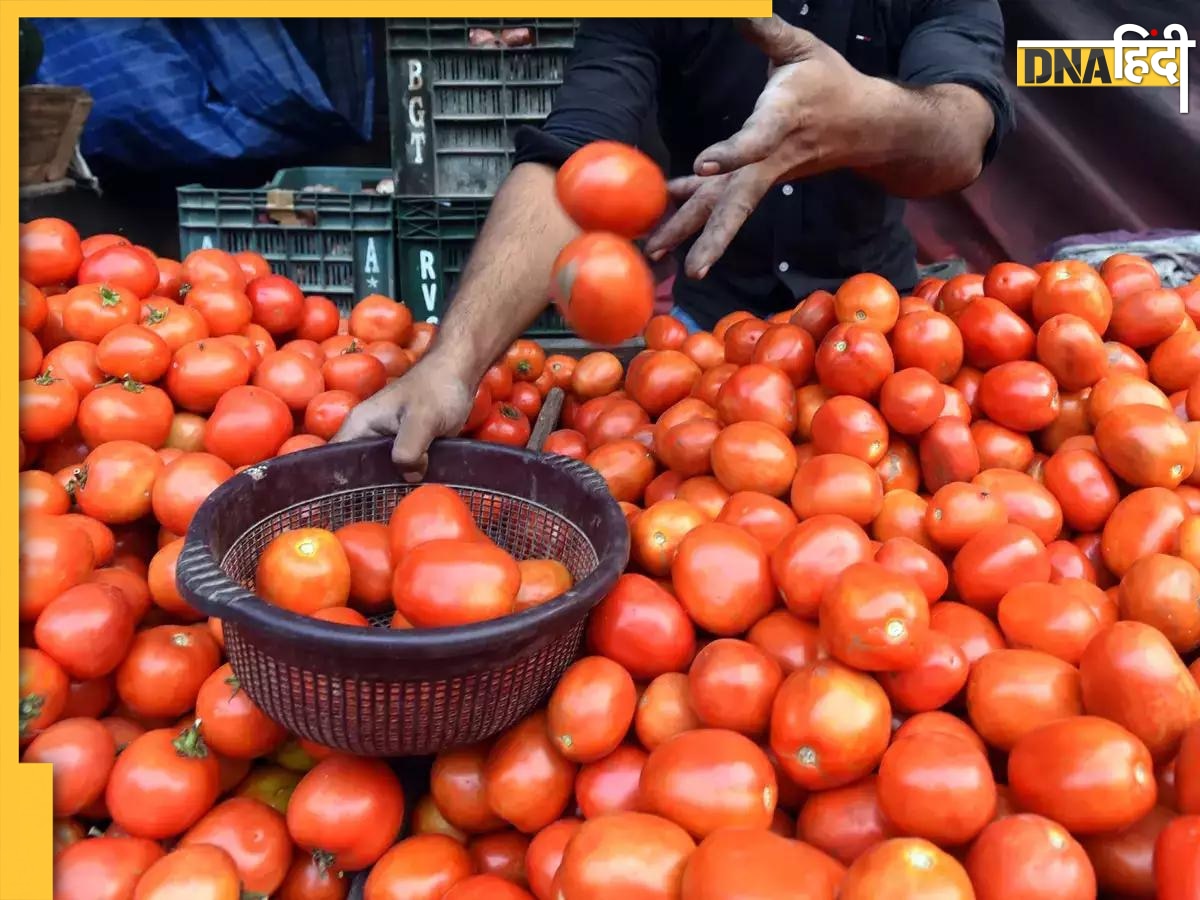 Tomato Price: पहले गर्मी, अब टमाटर पर बारिश की मार, 100 रुपये किलो पहुंचा भाव, आलू भी महंगा, जानें कब तक सस्ती होगी वेज थाली