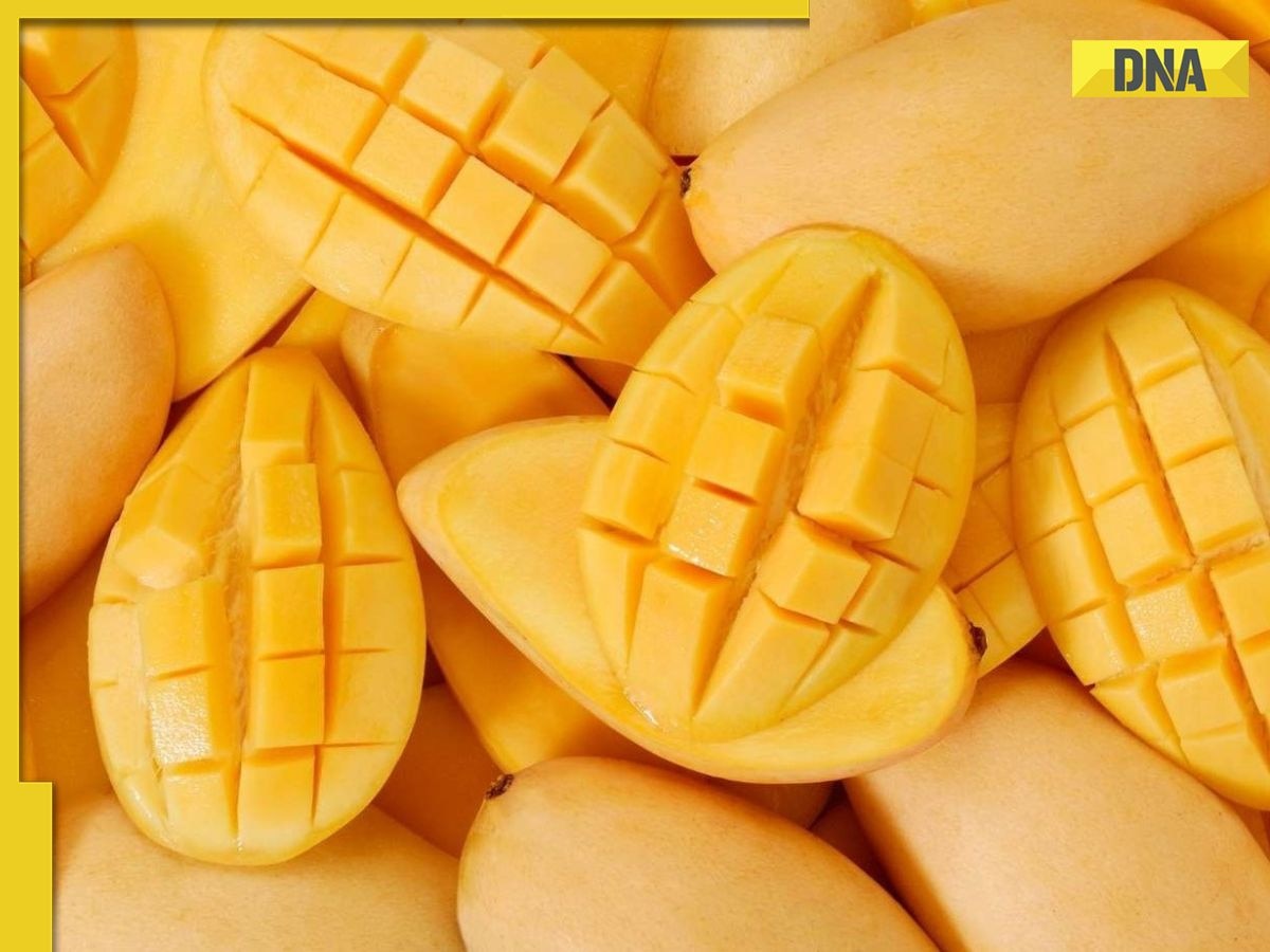 Can mangoes protect heart and gut health?