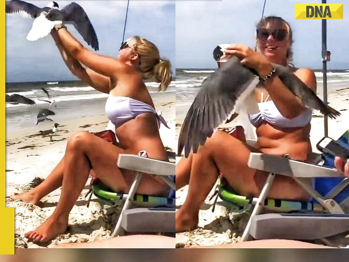 Viral video Bikini-clad womans shocking act with bird on beach sparks intense backlash