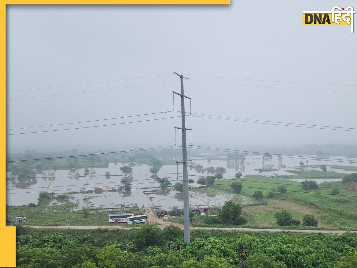 Hindon Floods: यमुना के बाद अब हिंडन नदी में आई बाढ़, नोएडा में घरों में घुसने लगा पानी