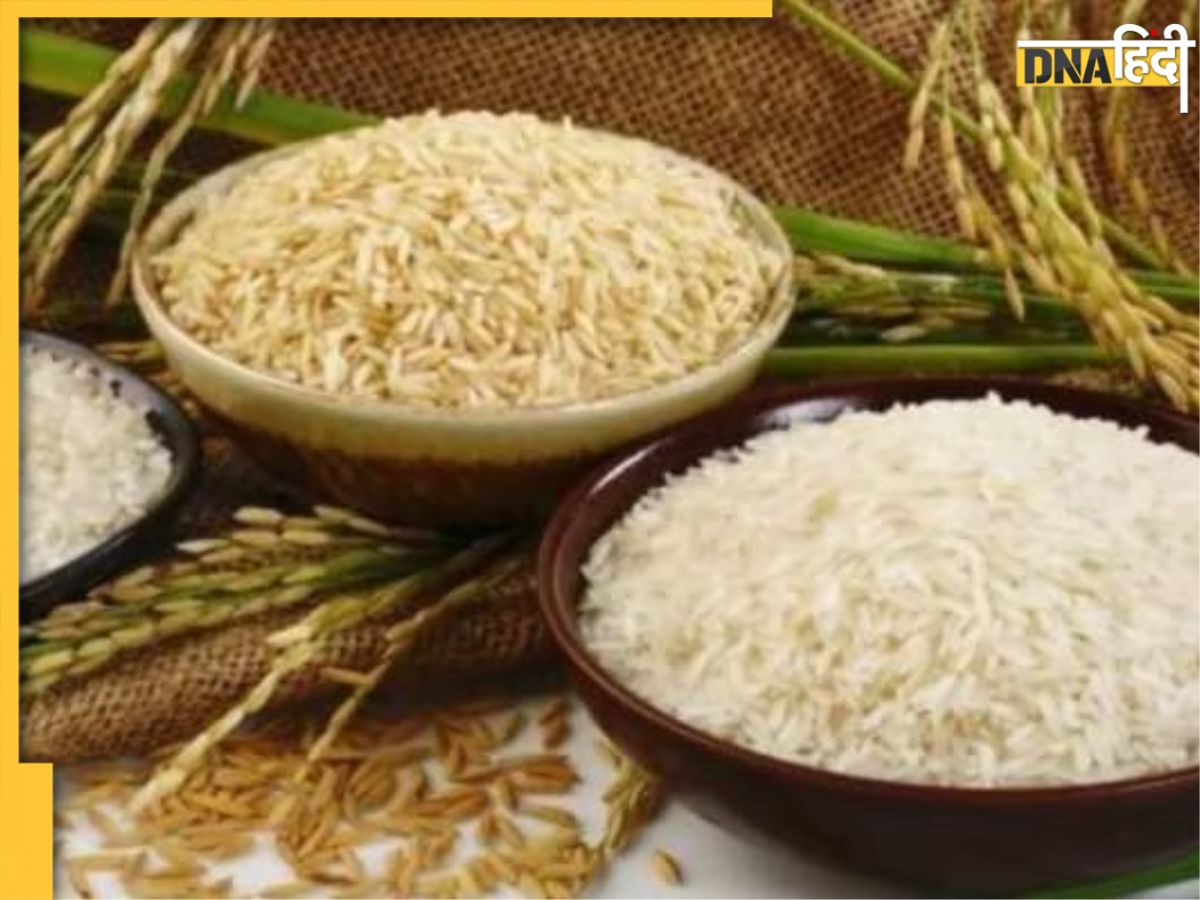 Health Benefits of Basmati Rice कब्ज, हार्ट हेल्थ समेत इन 5 बीमारियों