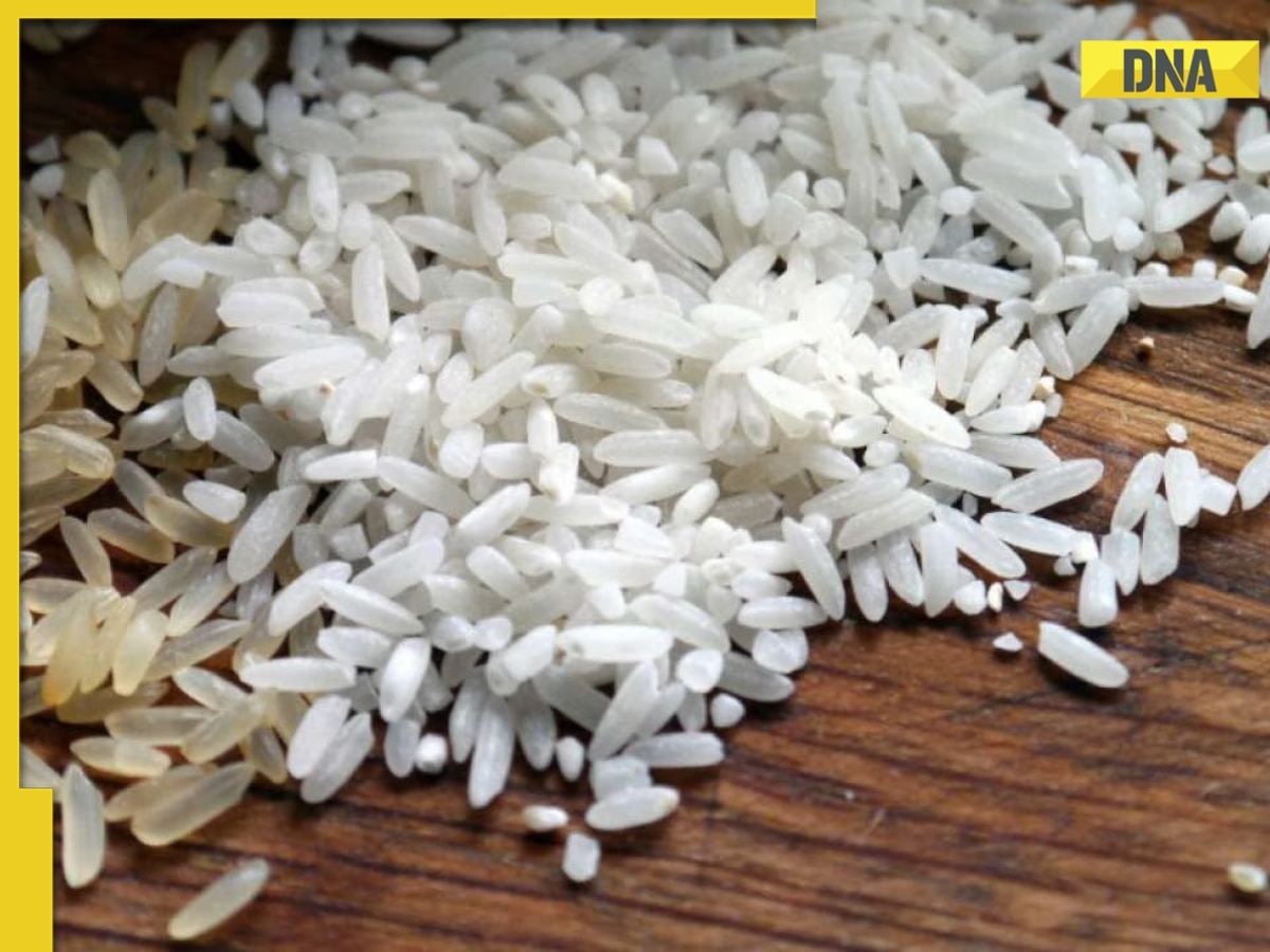 DNA Special: Why India banned the export of rice, and how it will impact its citizens