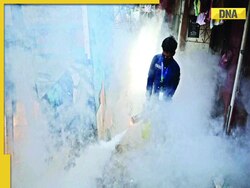 Delhi: Dengue control workers go on strike as cases rise in national capital
