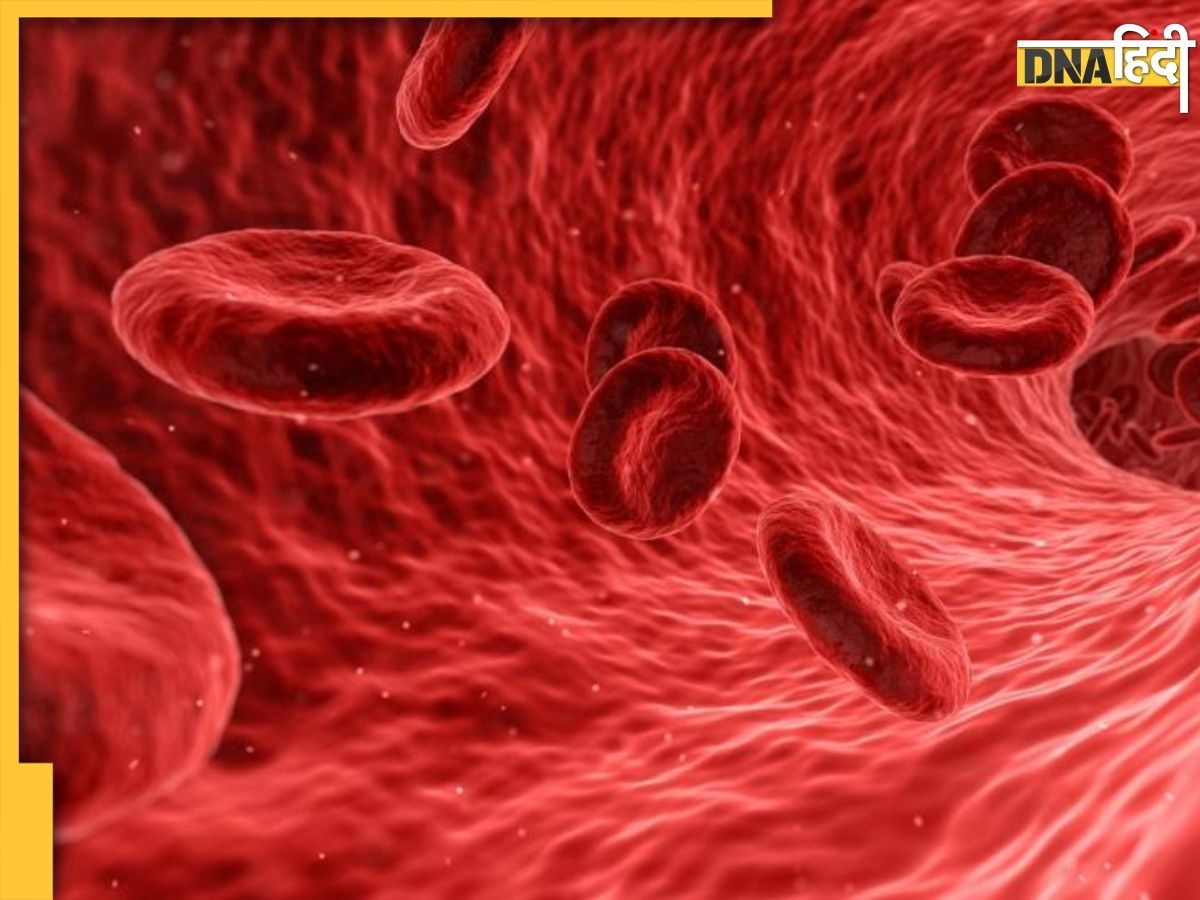 Natural Blood Purifier: गंदे खून को फिल्टर कर देते हैं ये 5 फूड्स, आसपास भी नहीं भटकती बीमारी