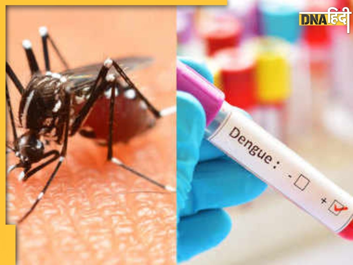 Dengue Symptoms: तेजी से फैल रहा है 3 तरह का डेंगू, शरीर में नजर आएं ये 5 लक्षण तो हो जाएं सावधान