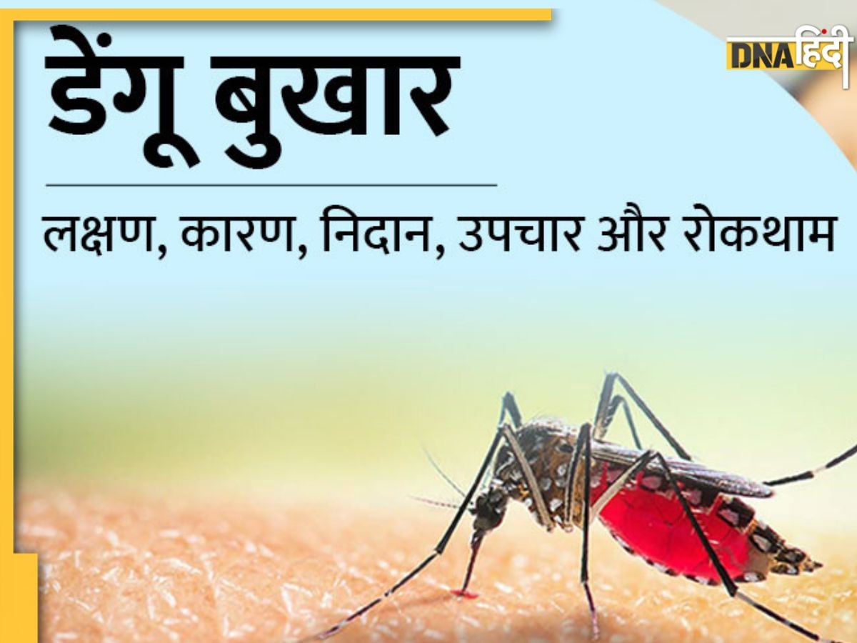 Dengue Care: लक्षणों से लेकर सावधानियों तक: डेंगू के बारे जान लें सबकुछ, इमरजेंसी में नहीं जाना पड़ेगा अस्पताल