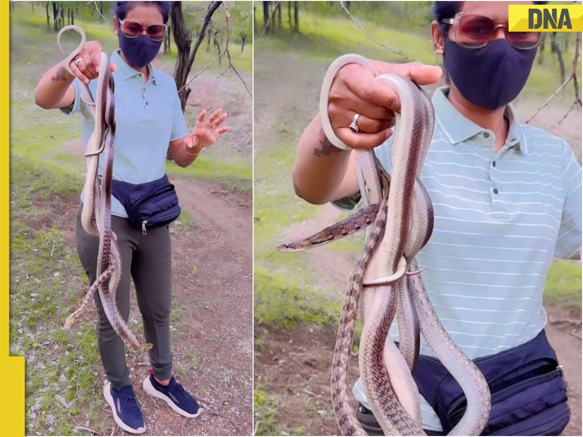 Video of girl fearlessly playing with giant snake shocks netizens