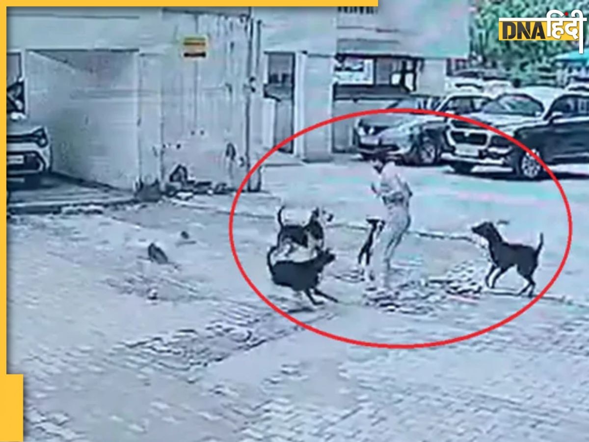 Viral Dog Attack Video: गाजियाबाद में बच्चे पर कुत्तों के हमले का वीडियो वायरल, नोएडा की पॉश सोसाइटी में भी बच्चे को काटा