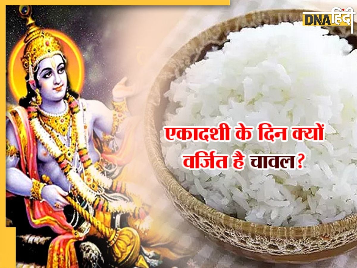 Ekadashi 2023: एकादशी पर क्यों नहीं ��खाने चाहिए चावल, जानें इसके पीछे की वजह और पाप से मुक्ति का उपाय