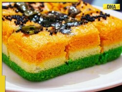 Independence Day 2023: Five tricolour dishes to try on August 15