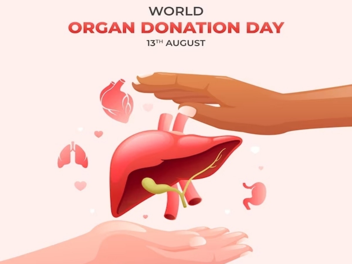 World Organ Donation Day 2023: Theme, history and significance of observing the day on August 13