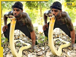 Chilling viral video: Man plants a kiss on enormous king cobra's head, internet reacts