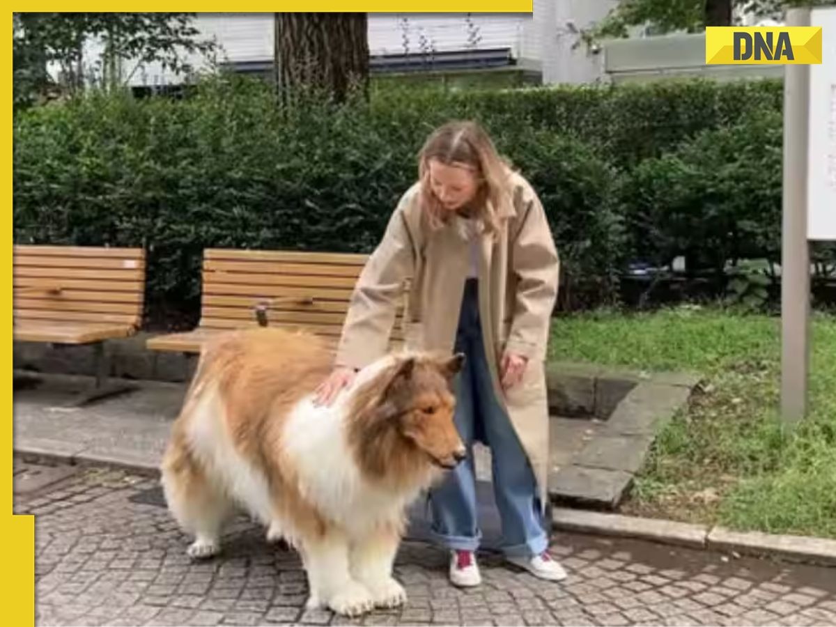 Remember Japanese man, who spent Rs 12 lakh to become a dog, doesn't want to live a dog's life