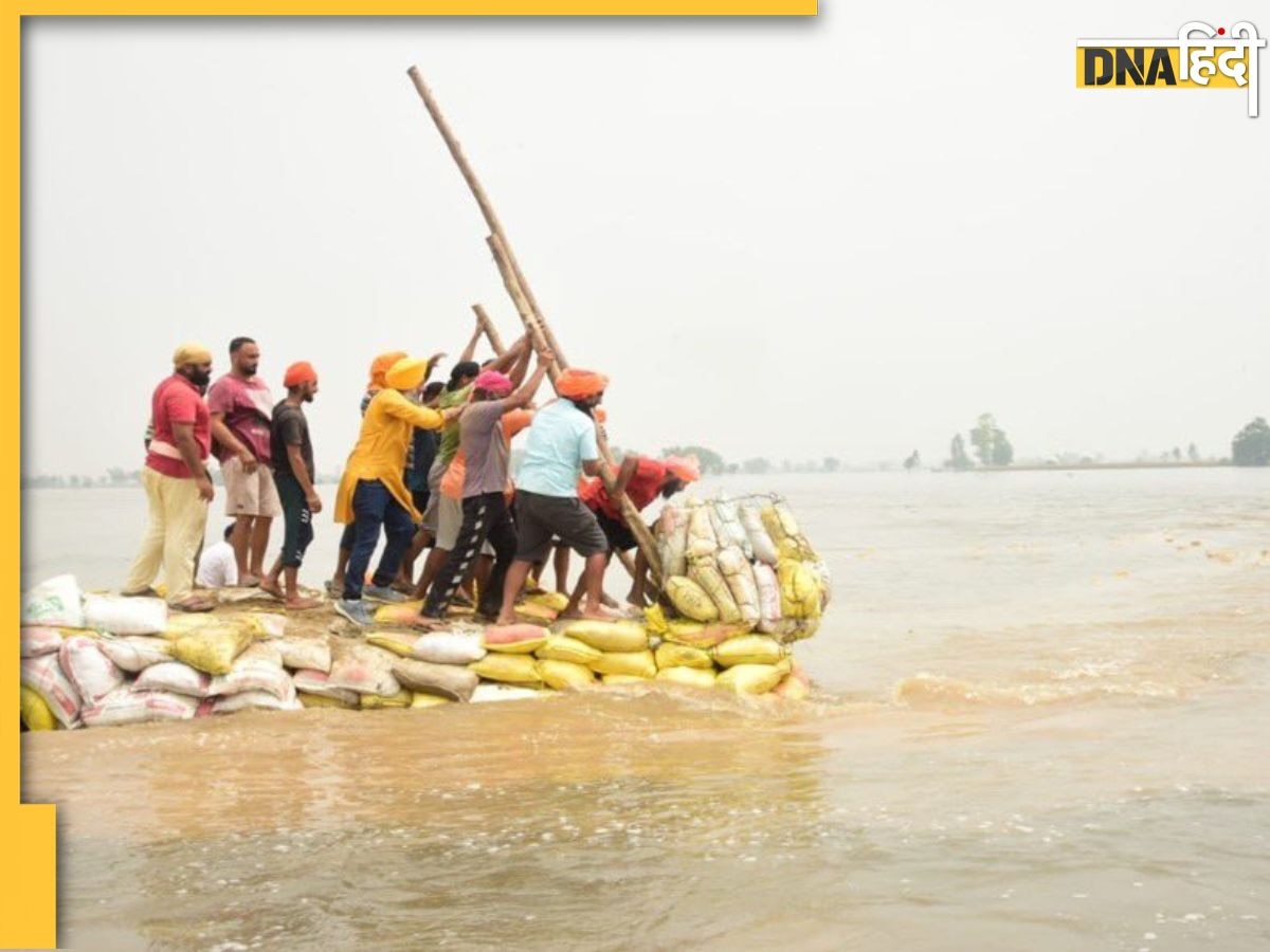 Punjab Floods: हिमाचल के बाद पंजाब में बाढ़ जैसे हालात, जलस्तर बढ़ने के बाद रेस्क्यू जारी