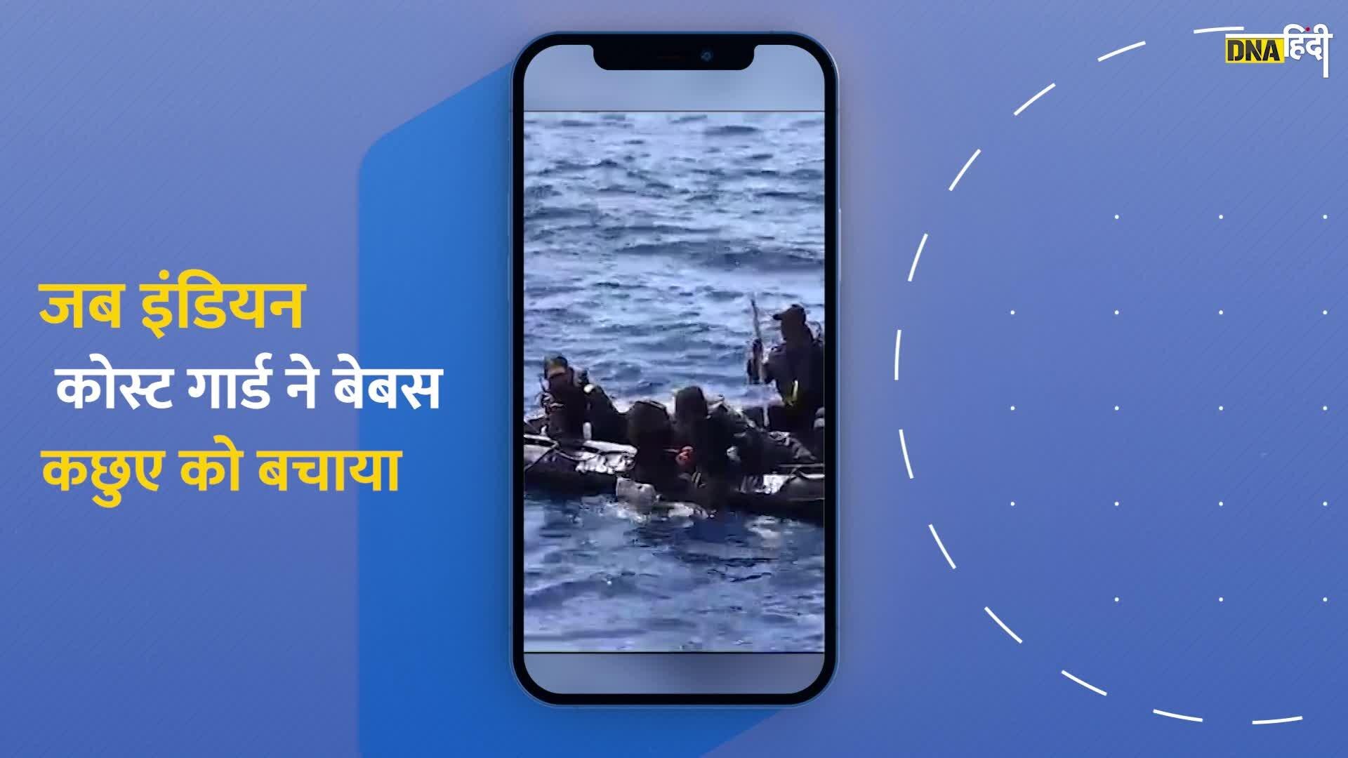 Indian Coast Guard:भारतीय कोस्ट गार्ड ने लक्षद्वीप आईलैंड से कछुए को बचाया