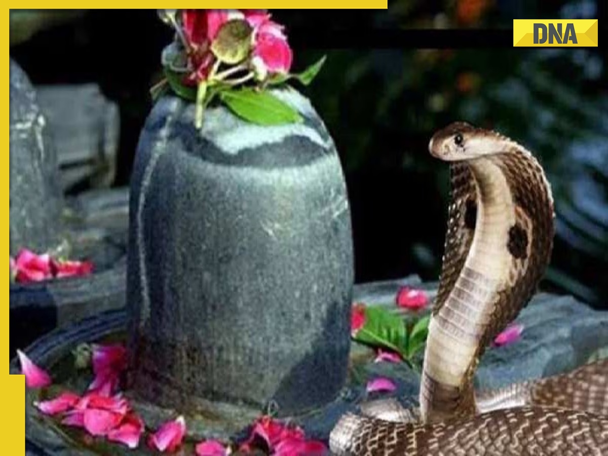 Nag Panchami 2023 date time: Know history cultural significance of Nag Panchami 2023 date time: Know history cultural significance of