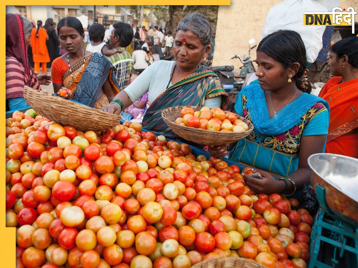 Tomato Price: दिल्ली-NCR में आज से टमाटर �की मेगा सेल, इन जगहों पर 60 रुपये किलो बेचेगी सरकार