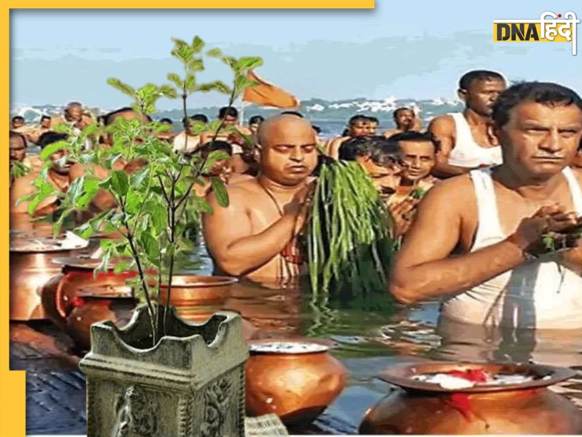 Pitru Paksha 2023: पितृ पक्ष में इस छोटे से उपाय को करने से तर्पण-पिंडदान के बराबर मिलेगा फल