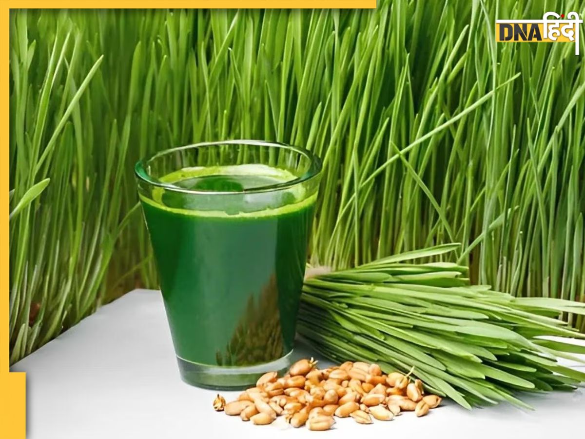 Wheatgrass side clearance effects in hindi