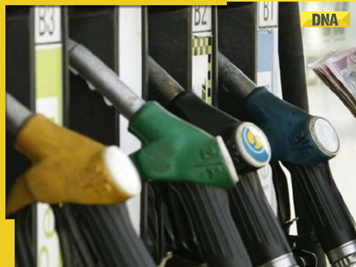 Petrol, diesel price changed in Chennai, Noida, Gurugram, Jaipur, Patna; know how to check fuel rates