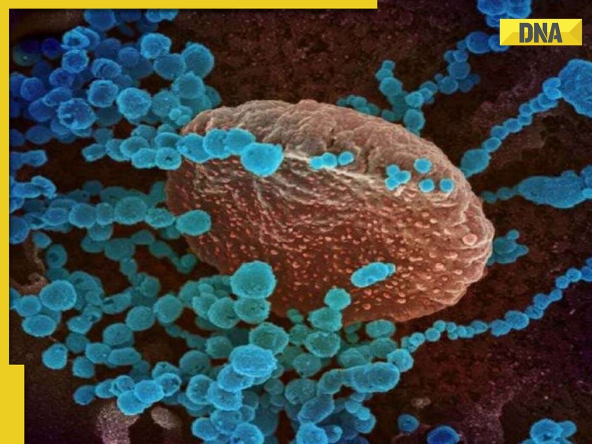 Immunity from vaccine, prior infection may be ‘leaky’ when...: New Covid study