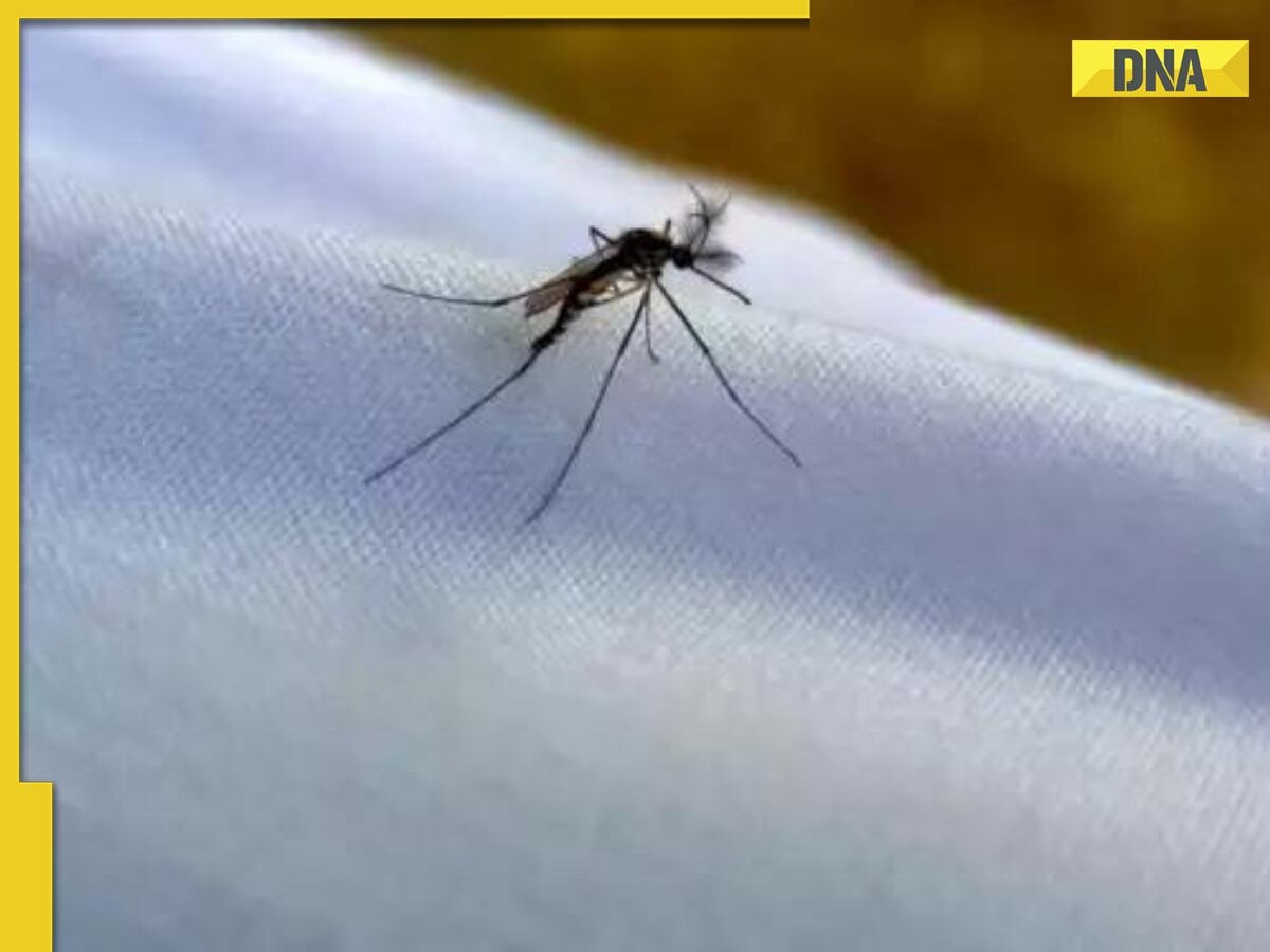 Zika virus in Mumbai: Know about its warning signs, symptoms and prevention tips