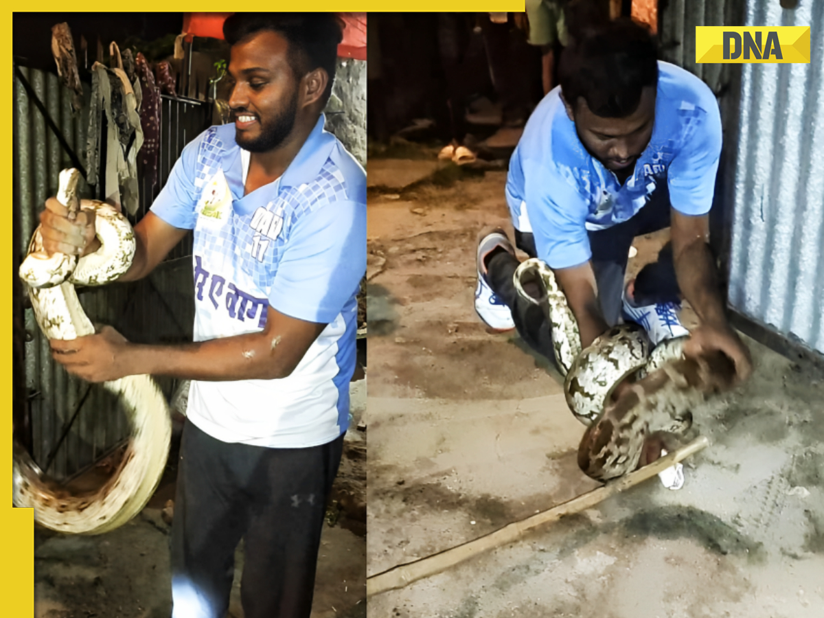 Viral video: Man's jaw-dropping tussle with enormous python stuns ...
